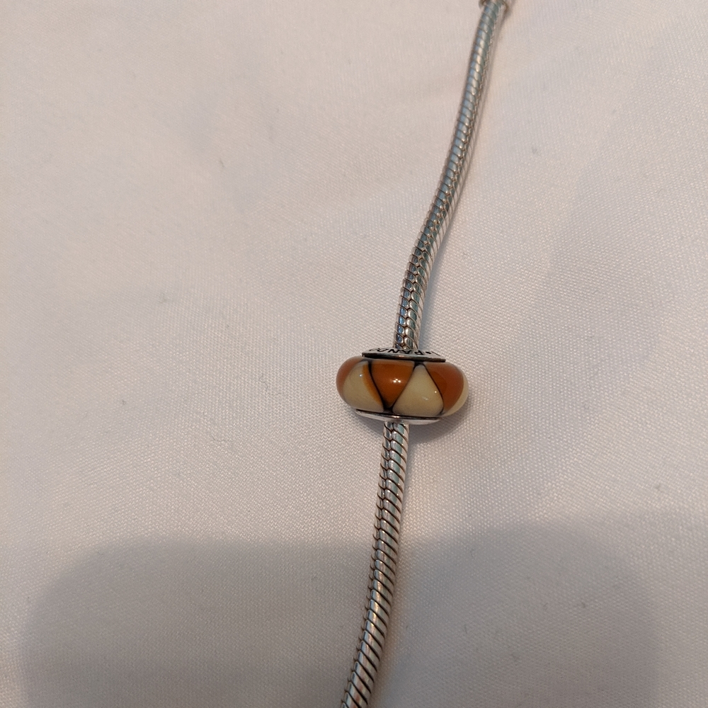 Beautiful orange resin pandora charm!